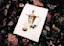 Sagittarian Queen-placeholder