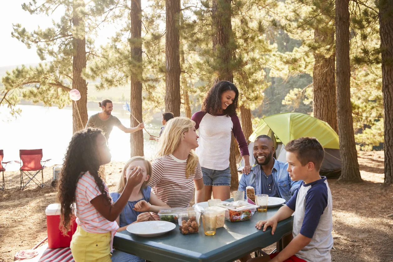 A Picnic at a Local Park