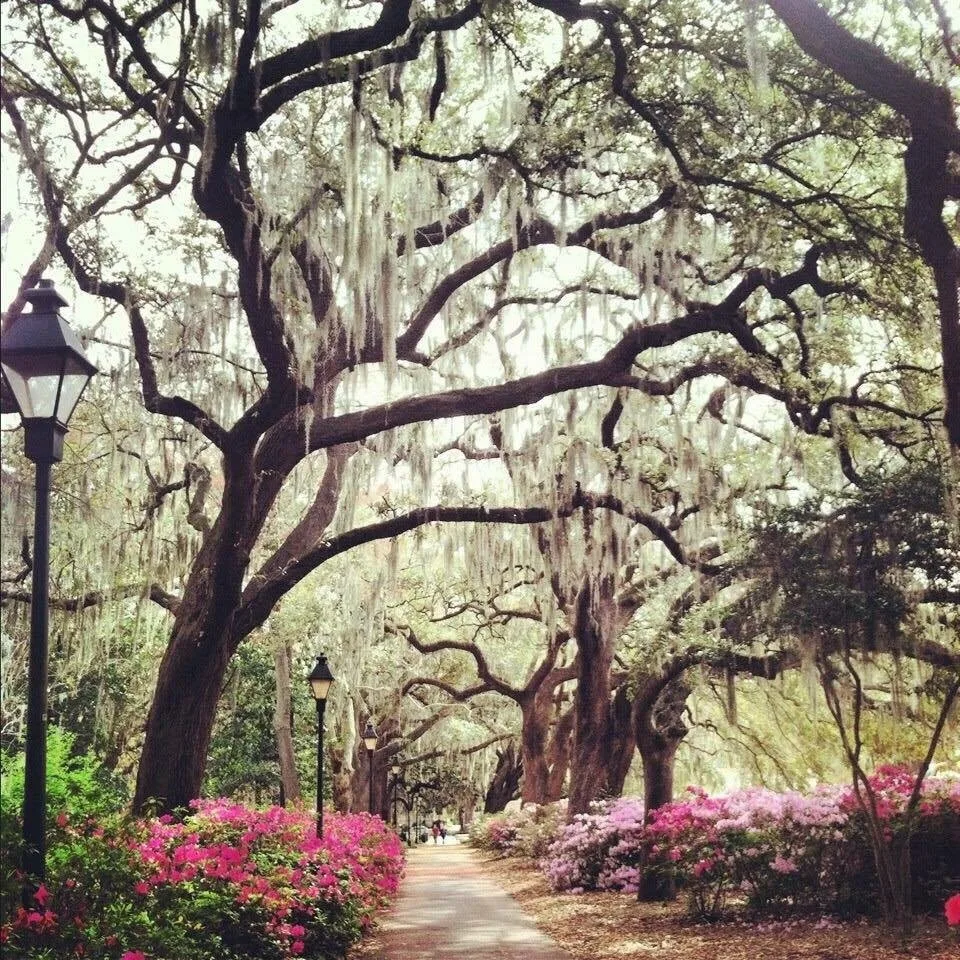 Savannah, Georgia