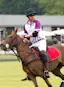 Pony Up-placeholder