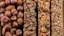 Granola Bars-placeholder