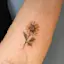The Illustrated Sunflower-placeholder
