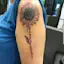 Sunflower Lullaby-placeholder