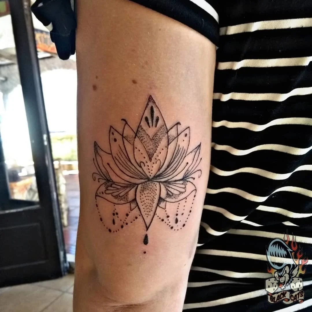 An Ornamental Lotus