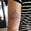 An Ornamental Lotus-placeholder