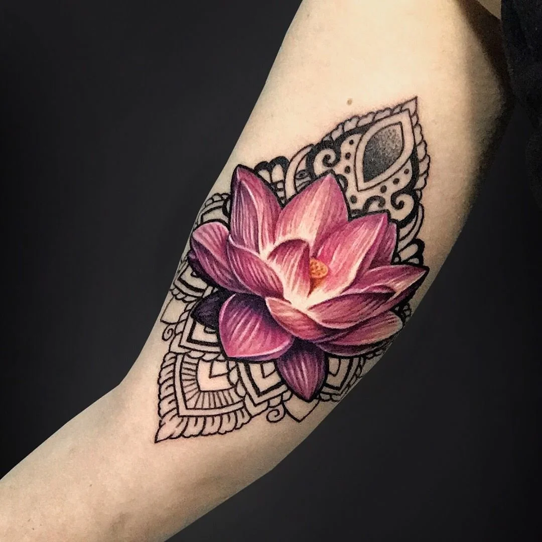 An Idyllic Lotus