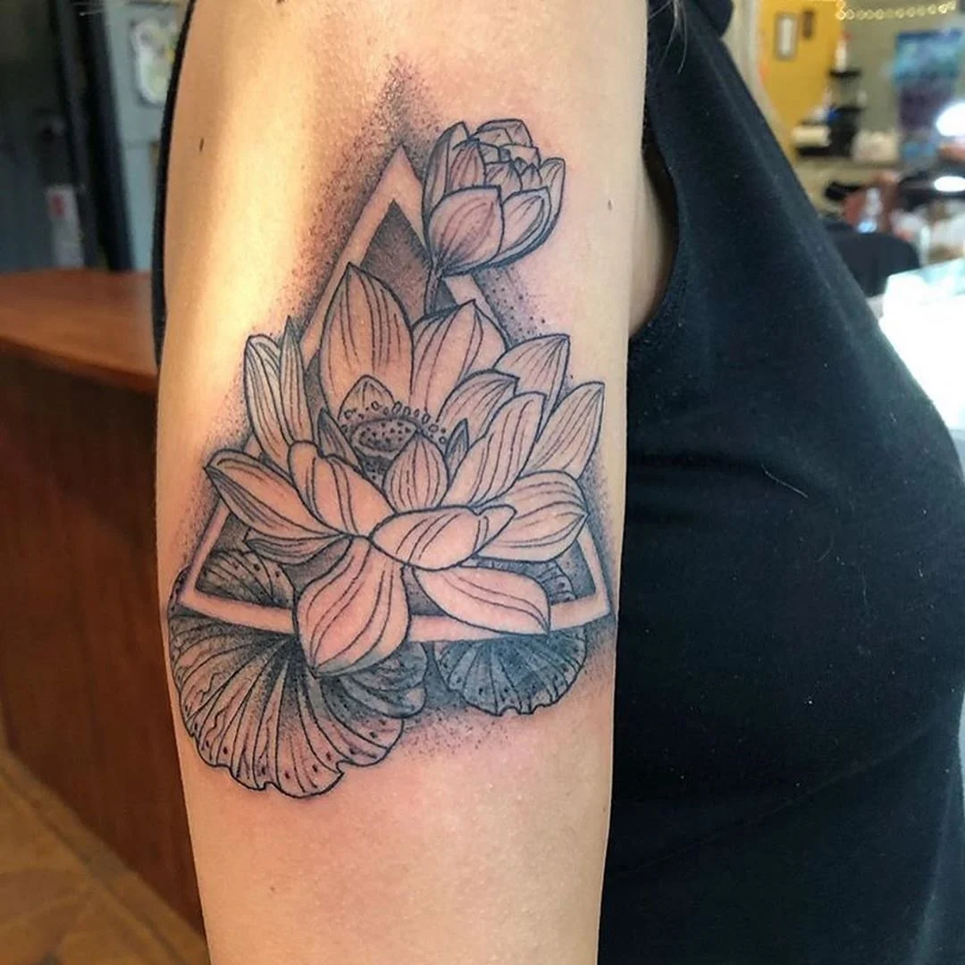A Storybook Lotus