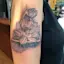 A Storybook Lotus-placeholder