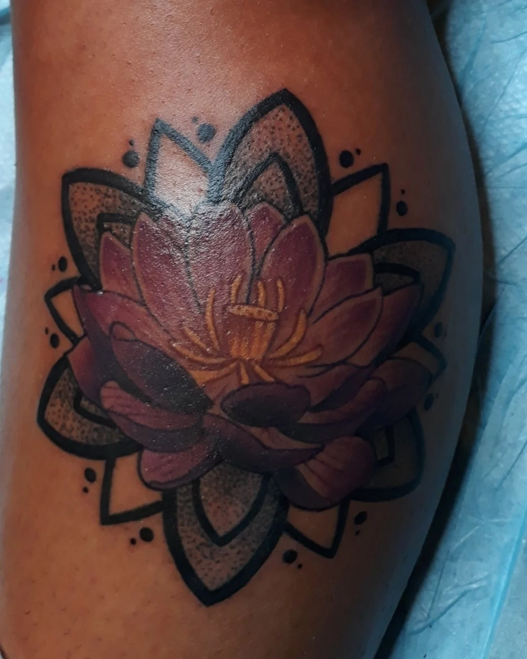 The Lotus & the Mandala