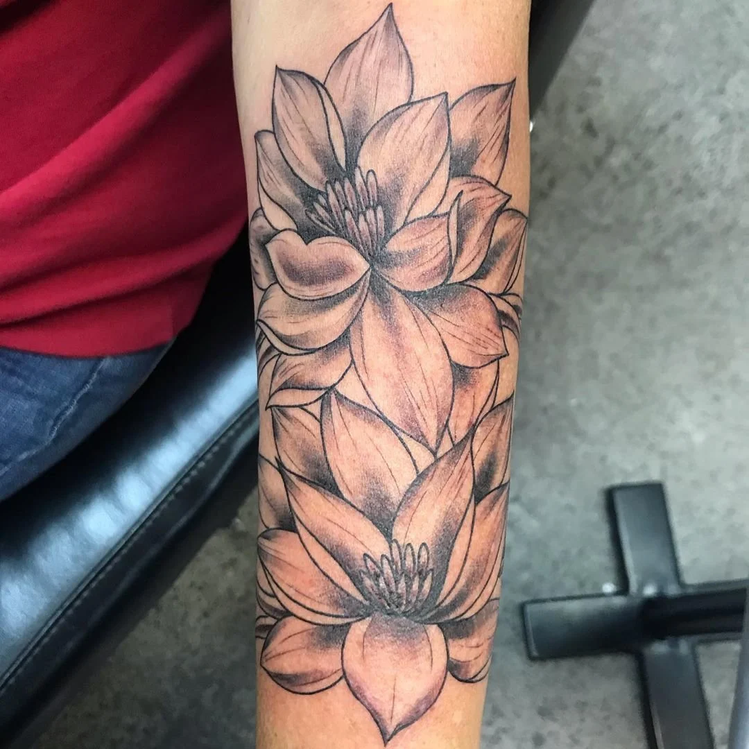 Lotuses in the Wind