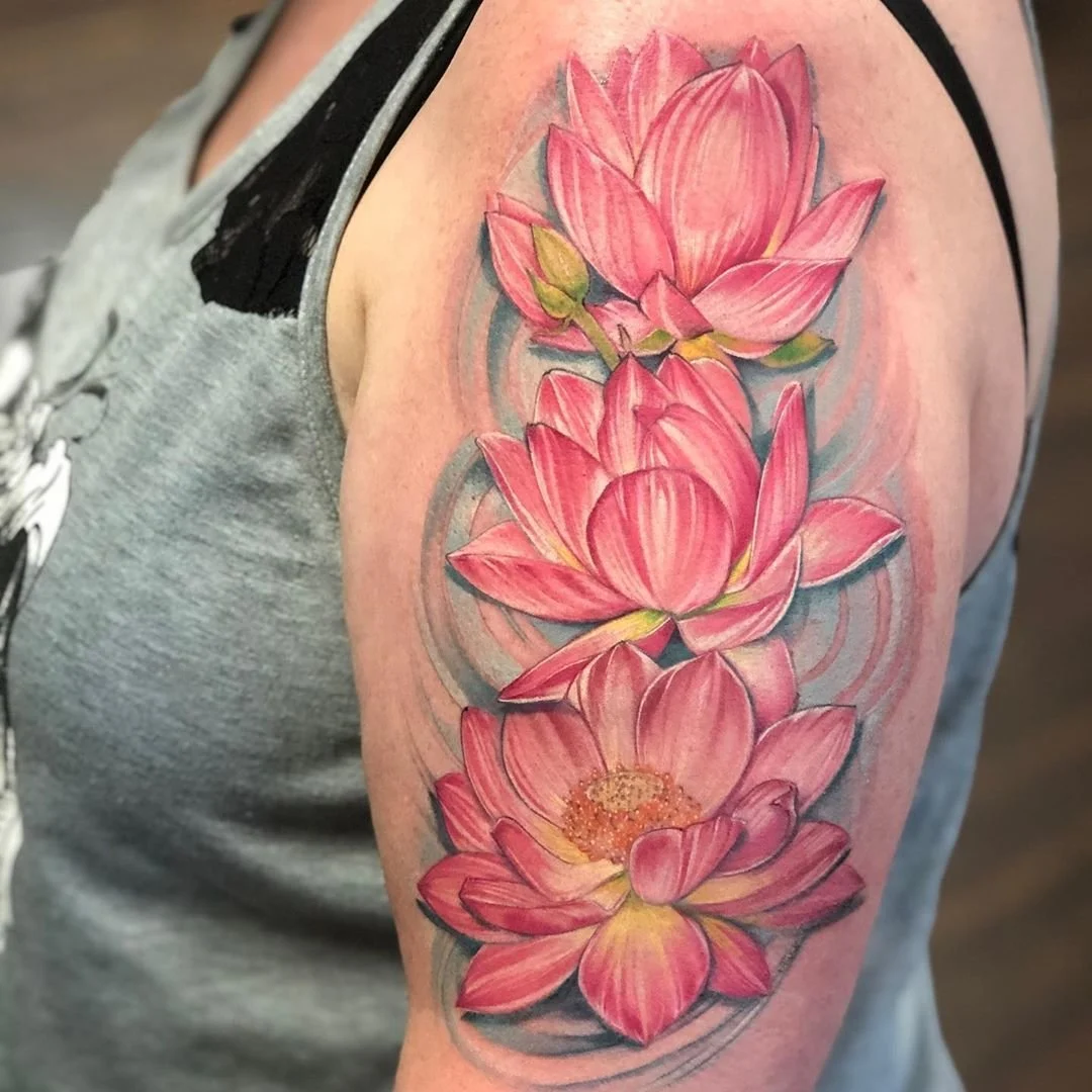 Lotuses in the Water