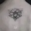A Lined & Dotted Lotus-placeholder