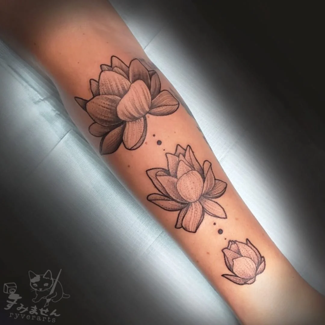 The Lotus in Bloom