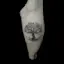 A Beautiful Tree of Life-placeholder