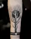 A Tree Eclipsed-placeholder