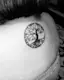 An Iconic Tree of Life-placeholder