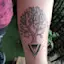An Ornamental Tree-placeholder
