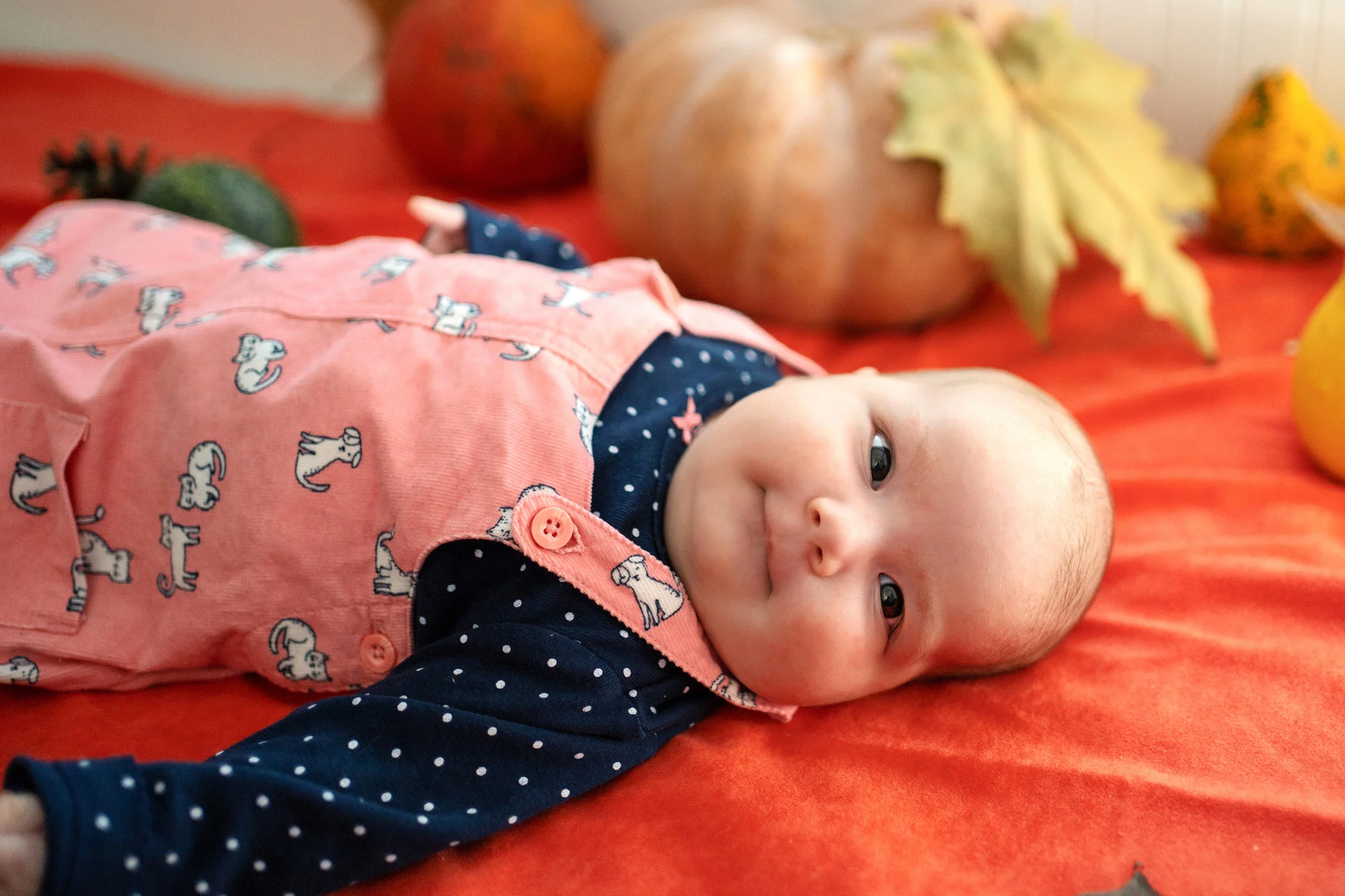 ROSEMARY