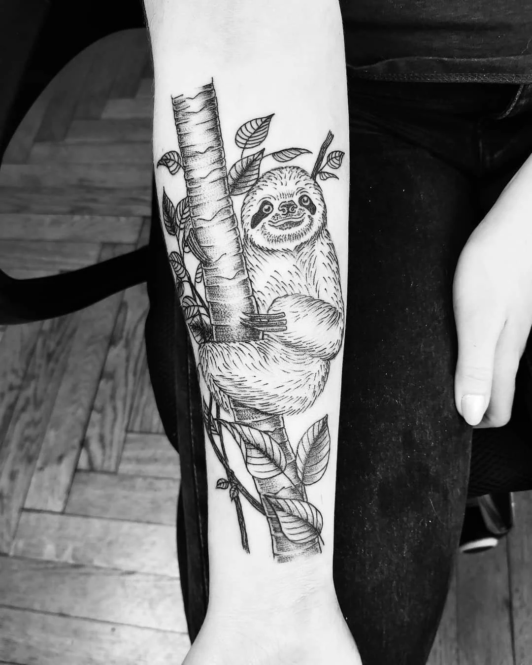 Storybook Sloth