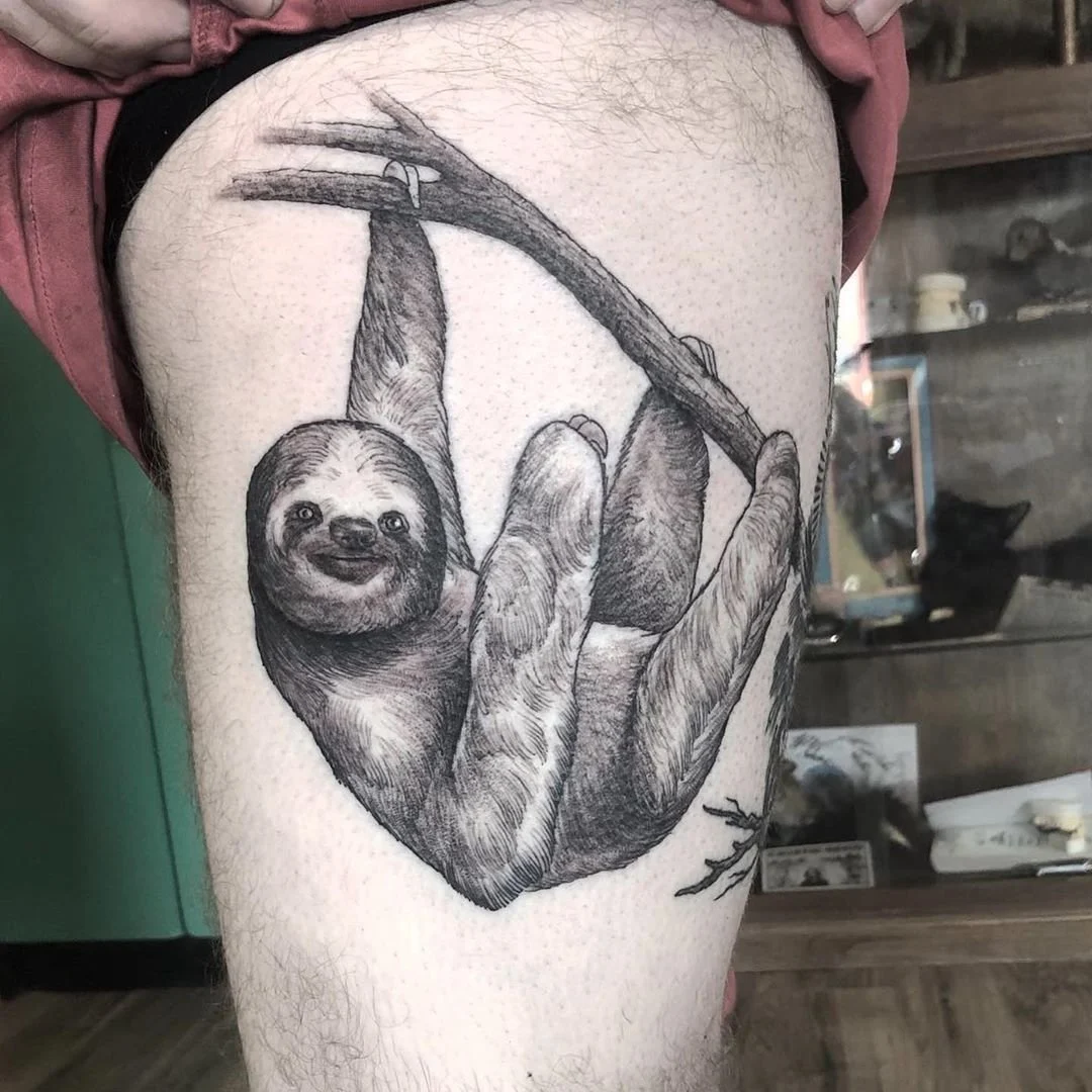 Hanging Sloth