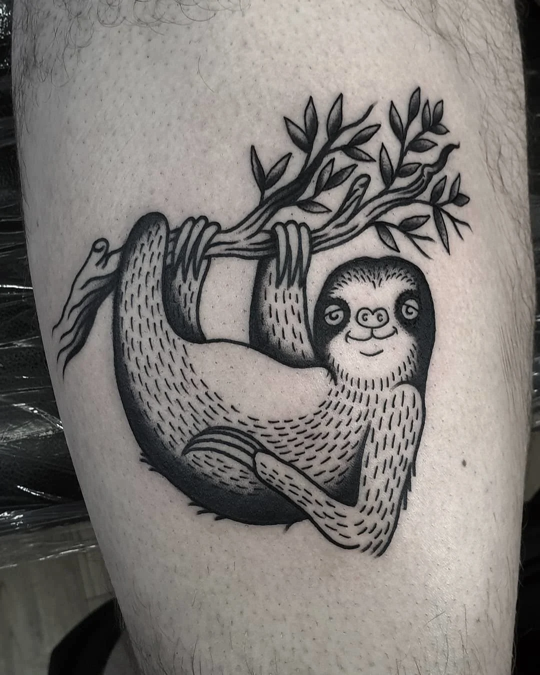 Cartoon Sloth