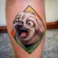 Flash the Sloth-placeholder