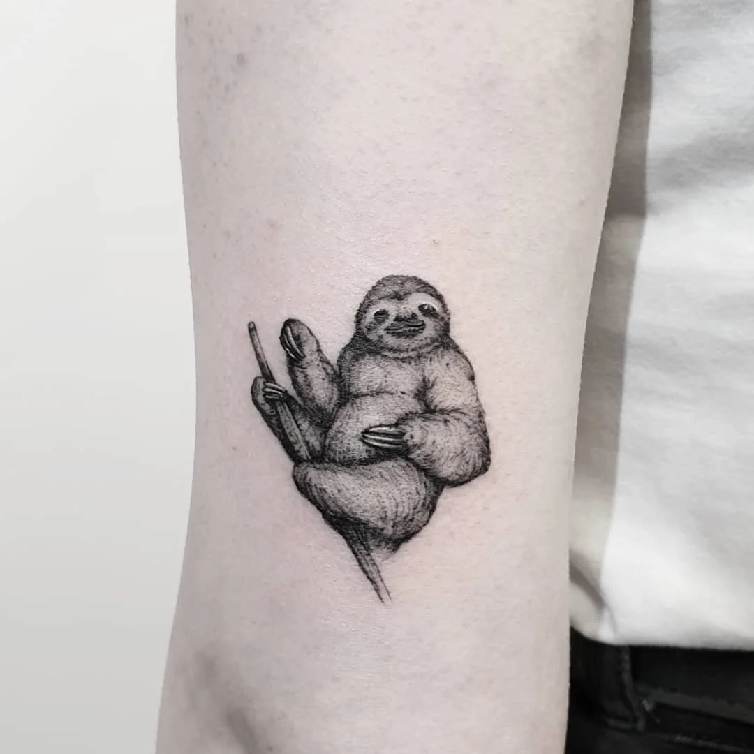 Textbook Sloth