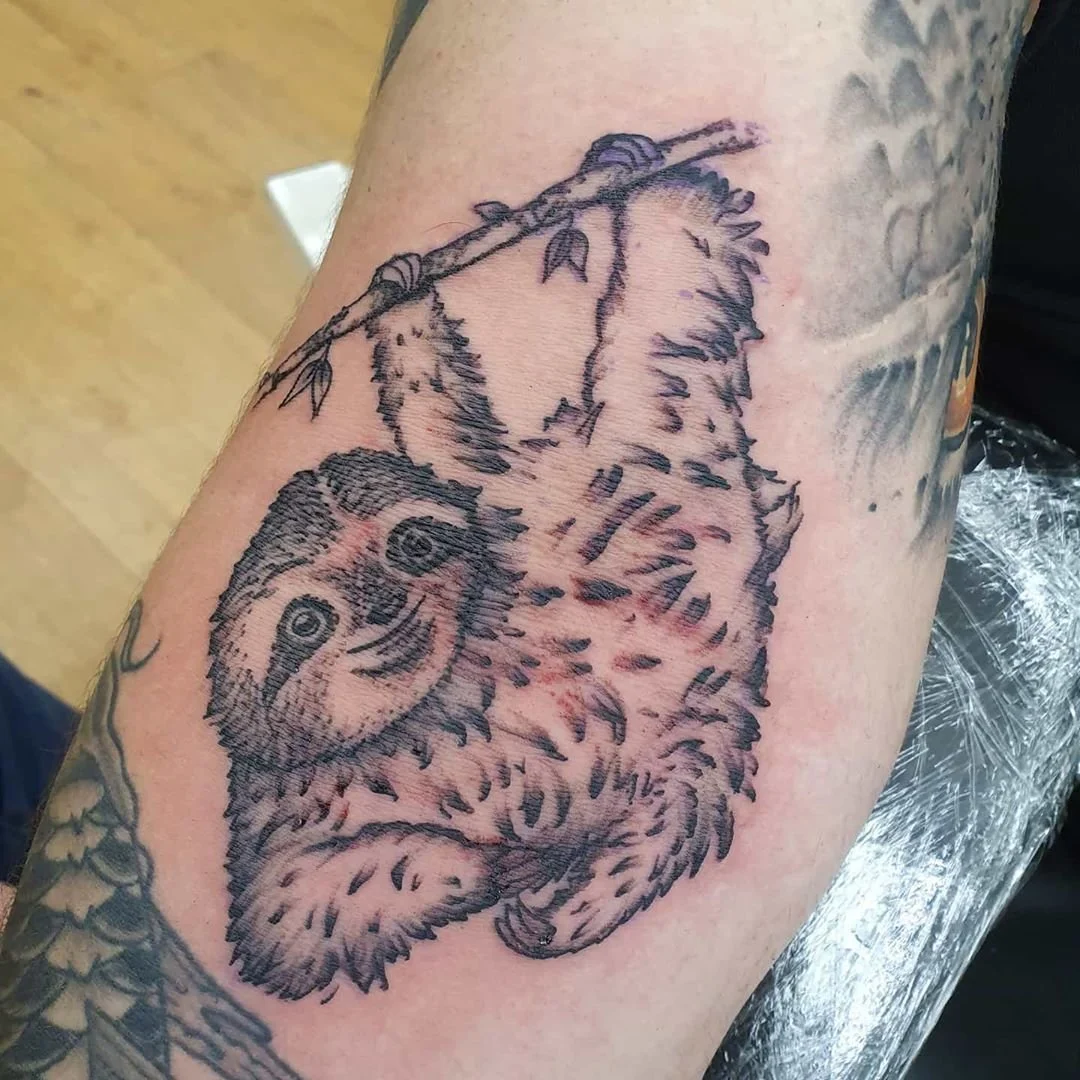 Cutesy Sloth