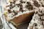 Thin Mint Ice Cream Pie-placeholder