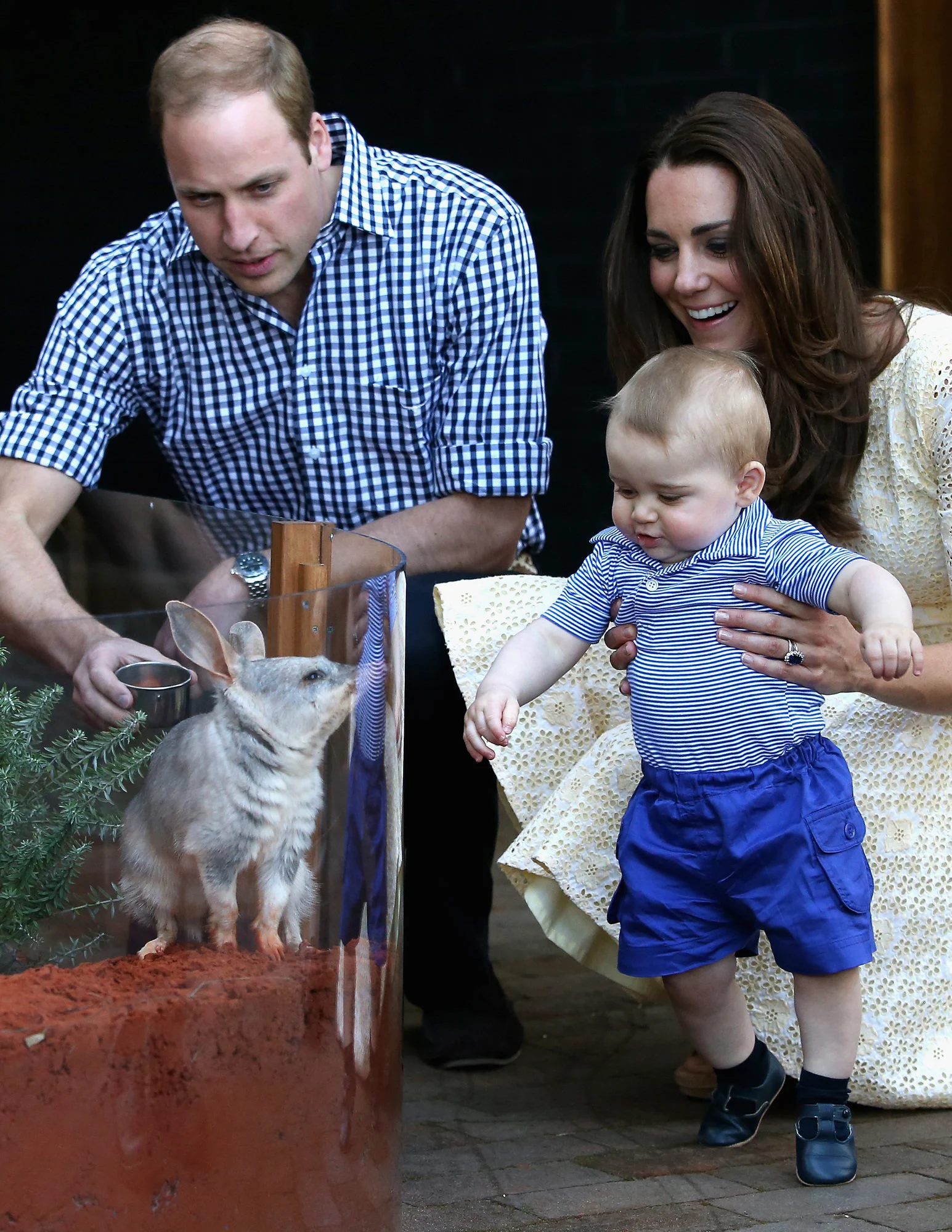 George, Meet George