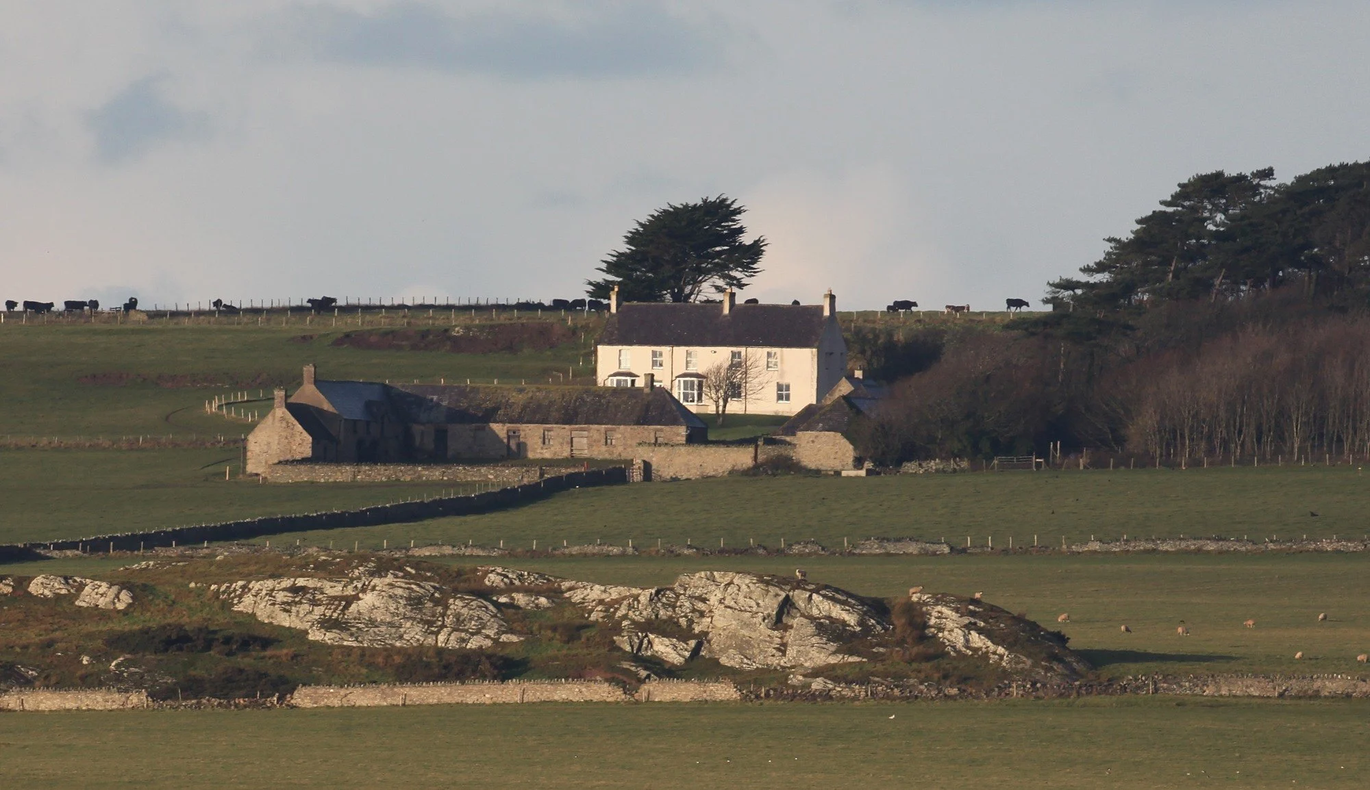 Summer 2010: They Move to Wales