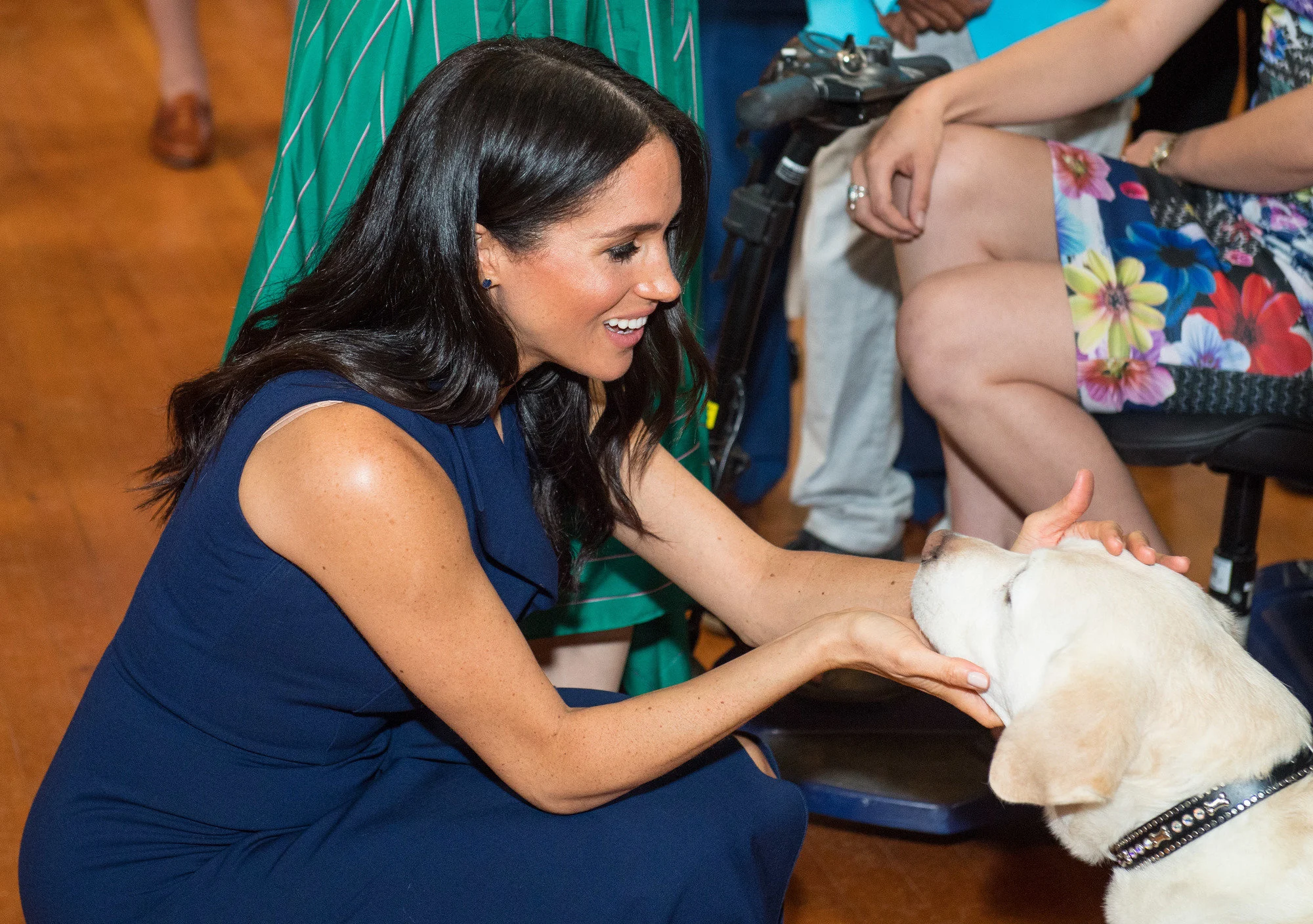 Meghan Working With Her Animal Welfare Charity