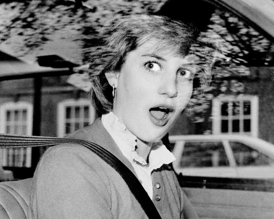 Shocked & Amused Shocked & Amused