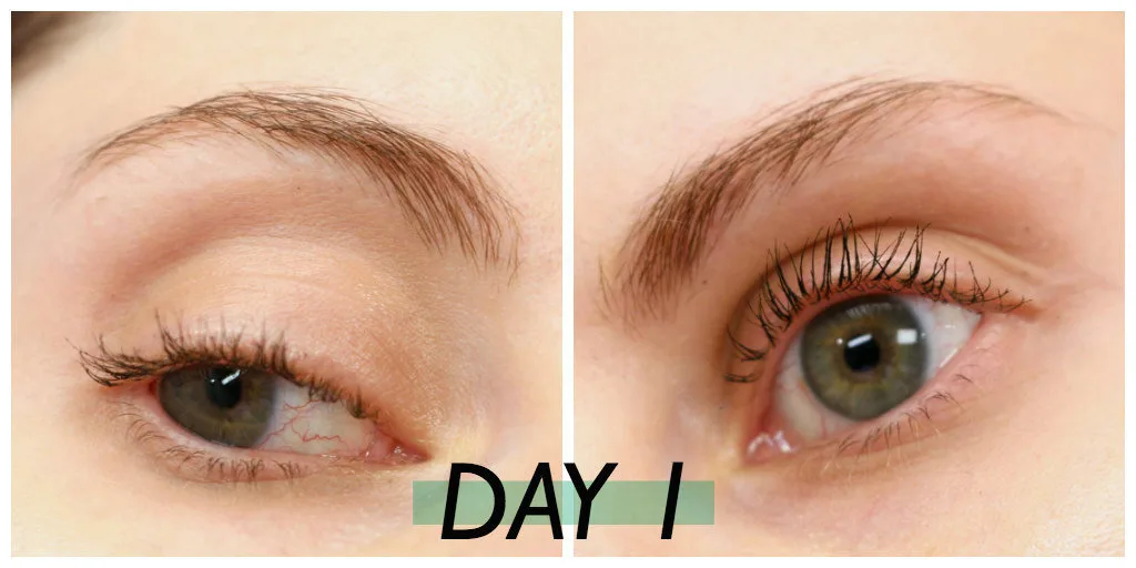 alle eyebrows