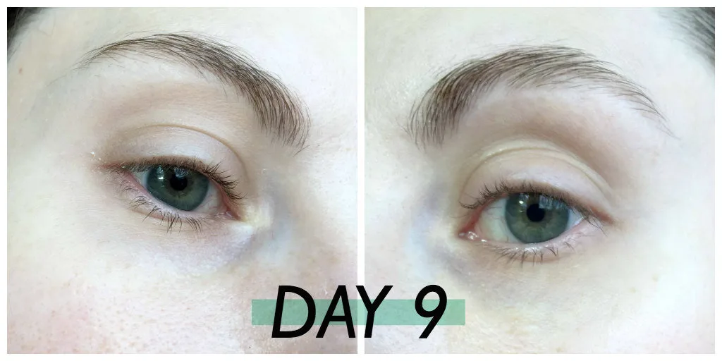 castor oil eyebrows