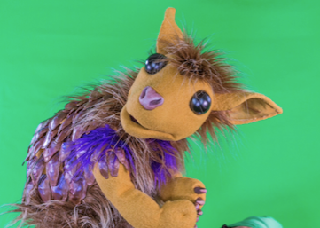 INTV PANGA