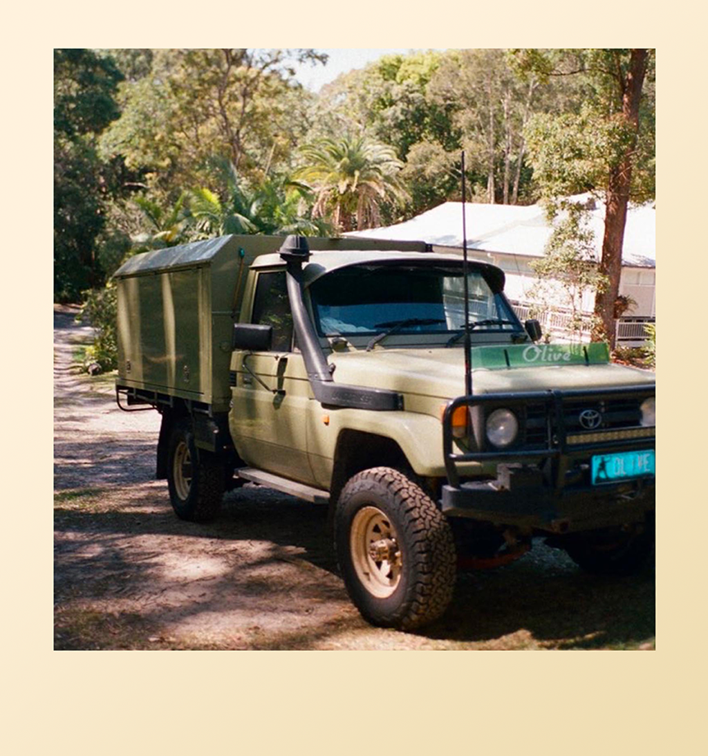 olive 3