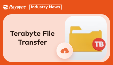 Easy Terabyte File Transfer: Your Complete Guide