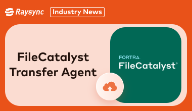 Unleash the Speed: Your Guide to FileCatalyst Transfer Agent