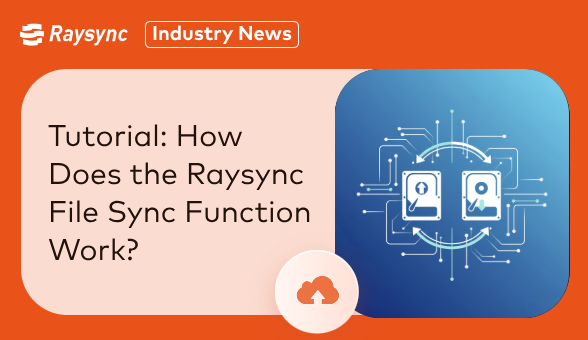 Tutorial: How Does the Raysync File Sync Function Work?