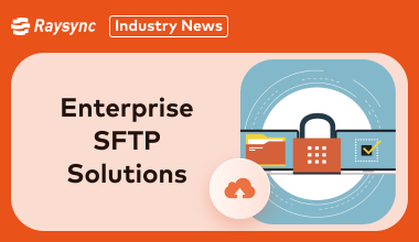 Best 6 Professional Enterprise SFTP Solutions [2025]