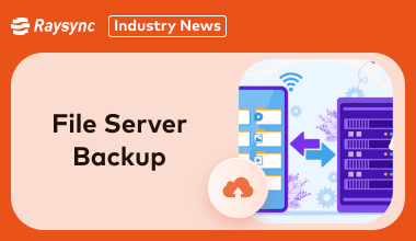 How to Set Up File Server Backup [For Individual/Business]