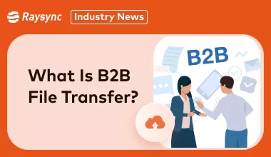 b2b file transfer