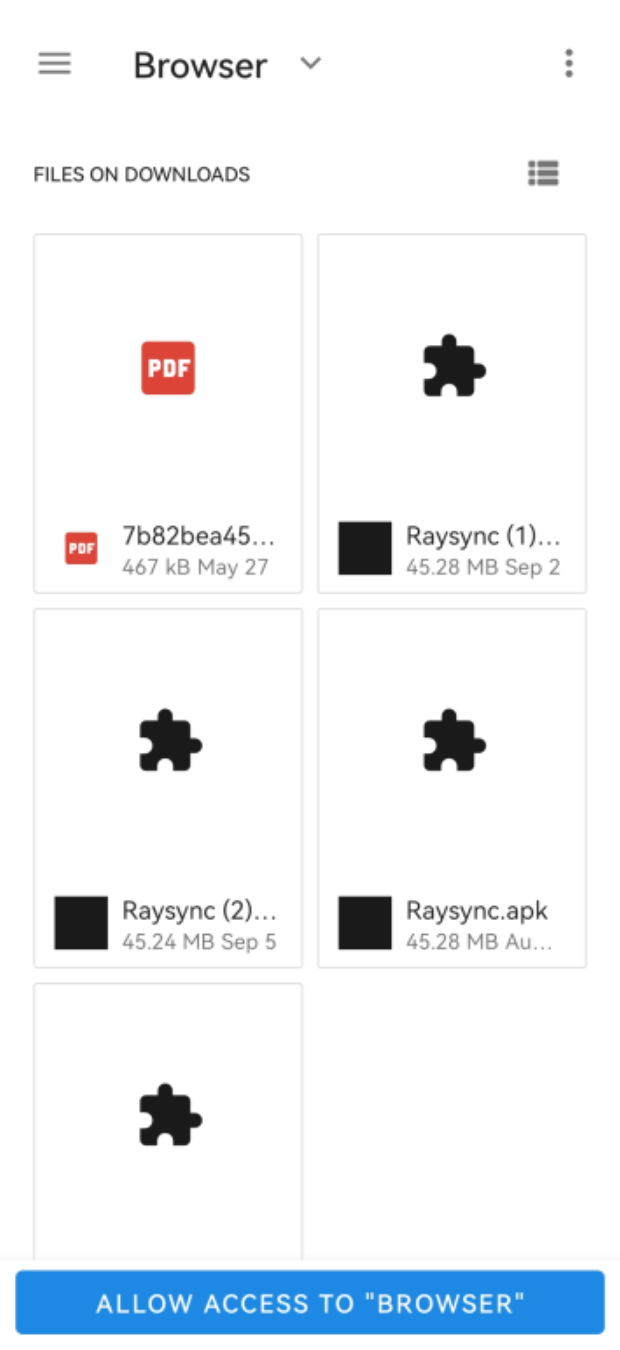 Raysync file transfer