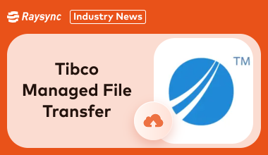 Detailed Overview of Tibco Managed File Transfer