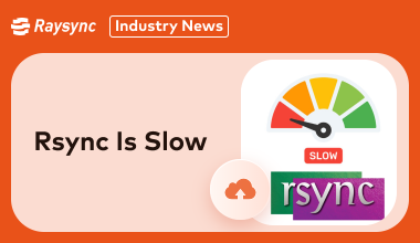 Why Rsync Is Slow? 6 Reasons for You [100% Work]