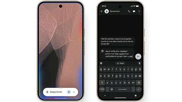 Pixel 11 Pro - Gemini