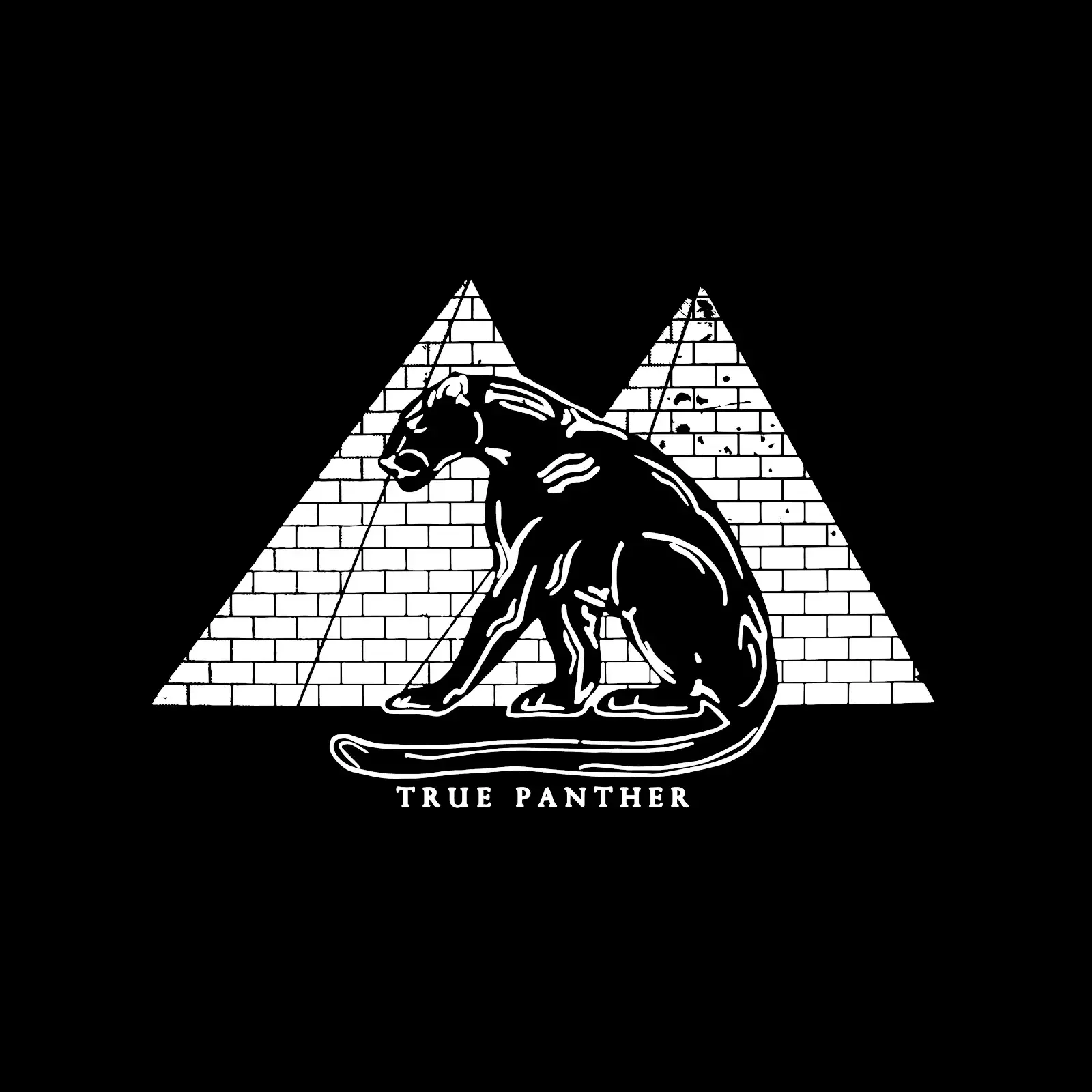TPS Logo Black Background Wide copy 2