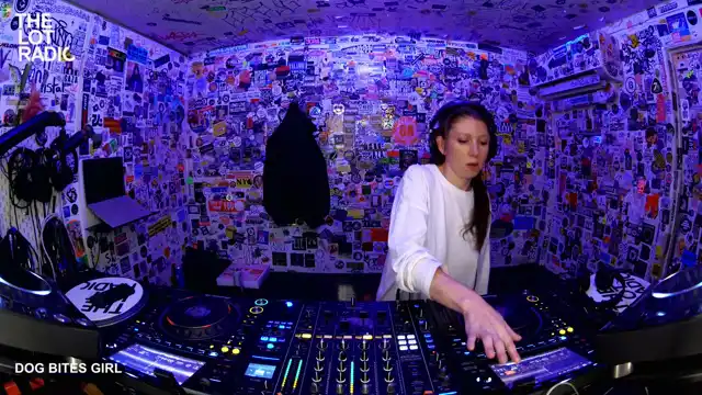 DOG BITES GIRL  poster