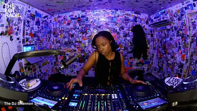 The DJ Shannon Show  poster